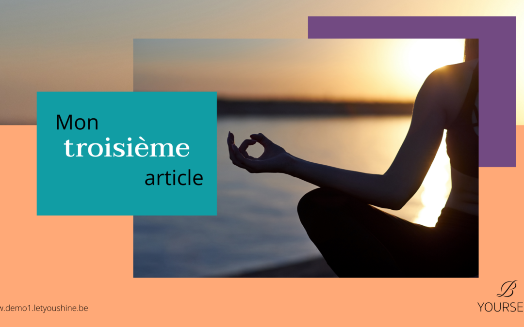 Comment duppliquer un article de blog